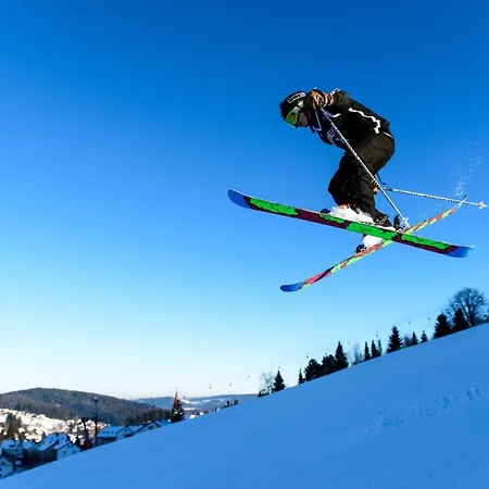 Coucou & Kuckucks-stube Titisee-Neustadt