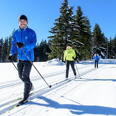Hotel Coucou & Kuckucks-stube Titisee-Neustadt