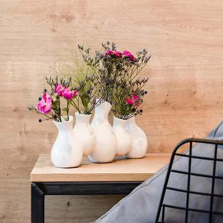 فندق Coucou & Kuckucks-stube 4*