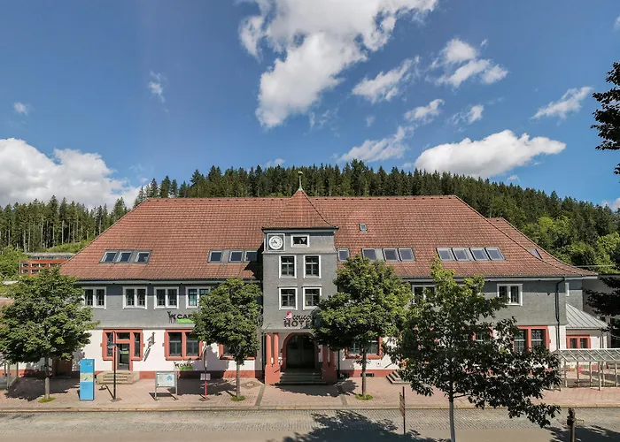 Coucou & Kuckucks-stube 4* טיטיזי-נוישטאדט